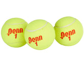Penn Championship Regular Duty (Soft Court) Tennis Balls, 13 Cans (39 Balls) with Exclusive Tennis Ball Magnet